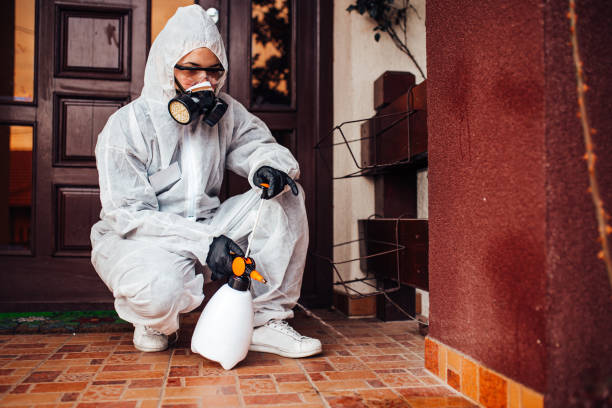 Reliable Cockroach Control contractor in Fair Haven, NJ by Nex Pest Control